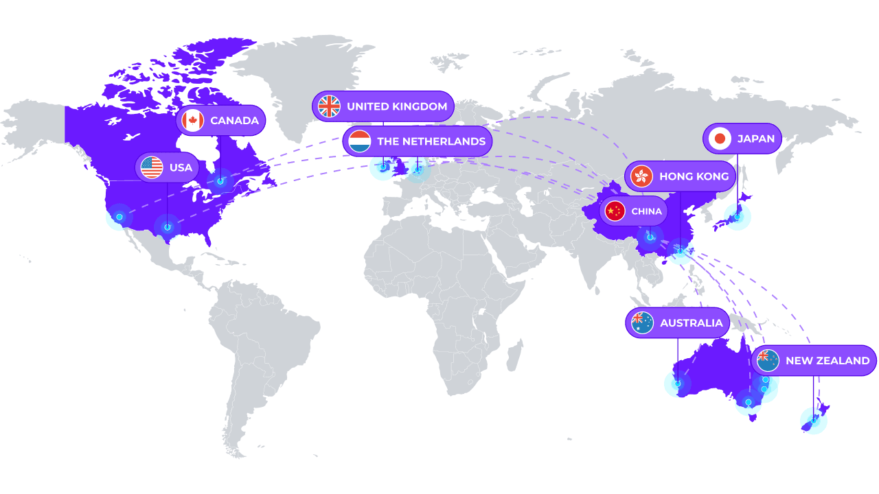 <p>Grow globally across an international delivery trade lane network</p>